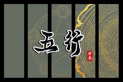 紫微命盘八字排盘,双人紫微合盘详解,倪师紫微斗数,命命盘,紫微十四主星详解